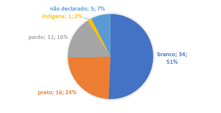 Cor/raça/etnia autodeclarada dos pesquisadores de acordo com o IBGE